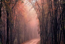 济南奥体目击武里南联胜利