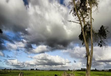 尤文图斯完胜对手，保持领先地位